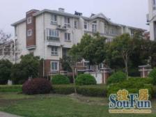 露台+花园+车库+业主急售+联排