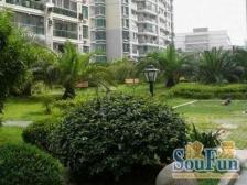 急售!高区采光!03年房龄!单价六万内!满五年!