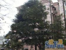 古北·虹南小区-中山西路1432弄·1室·0厅