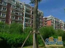 飞机户型,中楼层,电梯房,采光好,视野好