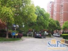 龙柏·华都公寓·3室·2厅