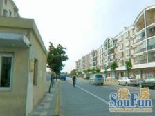 店长推荐!带20平大院子,户型正气