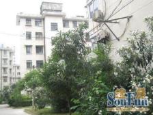 双天井,带装修,一梯两户,采光不遮挡,不靠马路不沿街