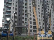 嘉秀新苑,地铁口,次新小区,环境好,户型争气,业主急售