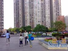 电梯房,大开间,品质小区,精装修,精装好房,诚意出售