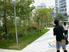 近地铁 中间楼层,无抵押,产权清晰 必看好房