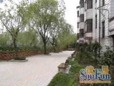 1998年商品房 一梯两户 精装修可拎包入住