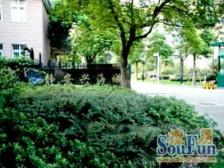 静教院随时可以用,高区采光好,满五税费低,看房方便