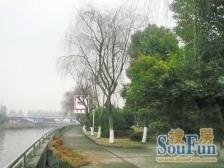 近地铁,中间楼层 新上房源