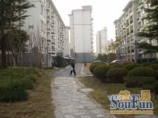 中上楼层,阳光刺眼,好户型,有地铁