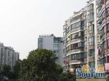 现场实勘,产权清晰,随时看房 必看好房