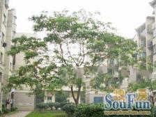 笋盘!预装电梯大复式!附赠车位!小区美丽家园已做!