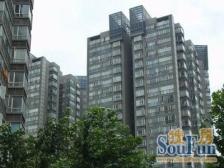 徐汇滨江+05年电梯房+4.6米横厅+满五+随时可看