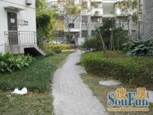 瑞丰园 1室1厅 南