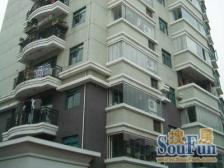 梧桐树下的正气四房 南北通风 聚财之屋