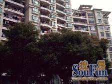 一梯两户三开间朝南诚意出售看房预约