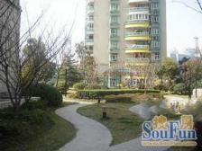 苏州河 一线江景 进门就是景观 楼层很好 全天采光