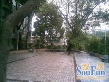 先烈中路科院社区原装电梯框架南北对流三房