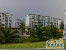 精装修,独栋、大面积、配套完善。