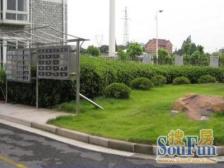 新上 大平层 好位置 业主诚意出售 愿意市场价