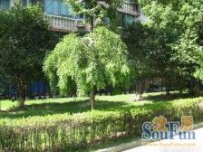 东方公寓(虹口) 2室1厅 南