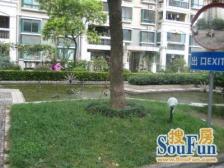 近地铁,电梯房,精装,产权清晰,新上房源