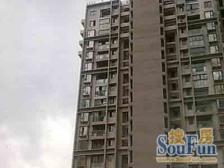 产权清晰 精装,电梯房,新上房源