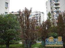 上大·上大阳光乾恩园·2室·2厅