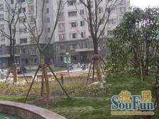 真北二街坊2室1厅1卫东朝向265.00万元/套出售