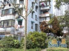 仙霞·芙**区·2室·1厅