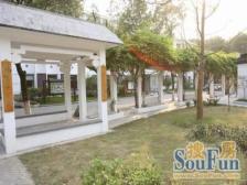 紫腾苑 2室1厅 南