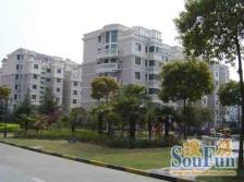 新上中环内商品房电梯高区紧靠上海实yan-