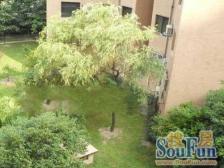 全南户型,繁华地段,法式小高层,精装好房,现代风格,品质小区,采光充足,二梯四户