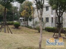 近DT,环境好,非顶楼,视野好