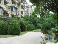 鞍山四村第一小区 2室1厅 南