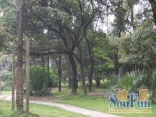 近地铁,电梯房,无抵押,必看好房