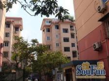 外环内,独栋别墅,带大花园,空关可看