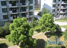 北蔡·环龙公寓·5室·3厅