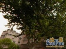 砸盘急售,99年纯商品房,一梯两户,地铁600米,独售