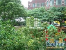 怡景苑5室南朝向3180.00万元/套出售