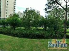 金上海家园3室2厅南