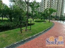 内环四高小区+南北直通双阳台+婚房装修+飞机户型