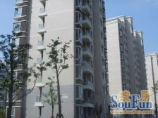 带产权车位 电梯房,精装 入住快 新上房源