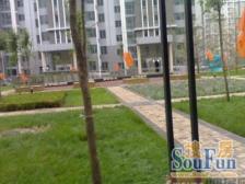 电梯房,小户型,品质小区,近商圈,精装修,刚需好房