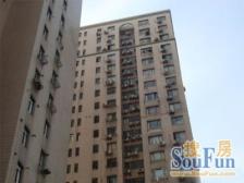 3.4.8.10线 近外滩+黄埔高区 南 全明 大三房好户型