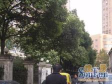 税费各付,落地窗大阳台,得房率高,采光佳好。