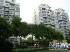 新出吉房,大平层南北通,送露台,房东诚心出售