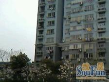 大开间,顶楼房,主卧朝南,小区中心位置