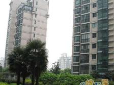 金杨·广洋苑一期·3室·2厅