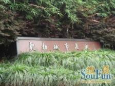 龙柏·龙柏城市花园·2室·2厅